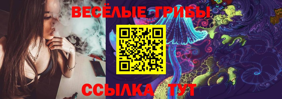 Домодедово  Псилоцибиновые грибы ЛСД  Вход с VPN  Галлюциногенные грибы Psilocybe 